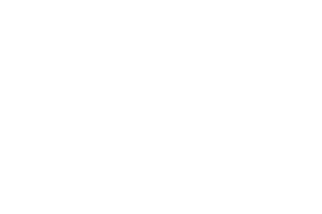 The Black Rabbit
